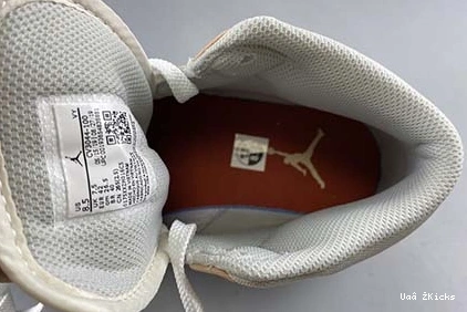 Jordan 237 CV3044- 1 8714 Mid Air Resilient 0919